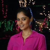 Bindhu Madhavi Hot Photo Shoot Pictures | Picture 93497